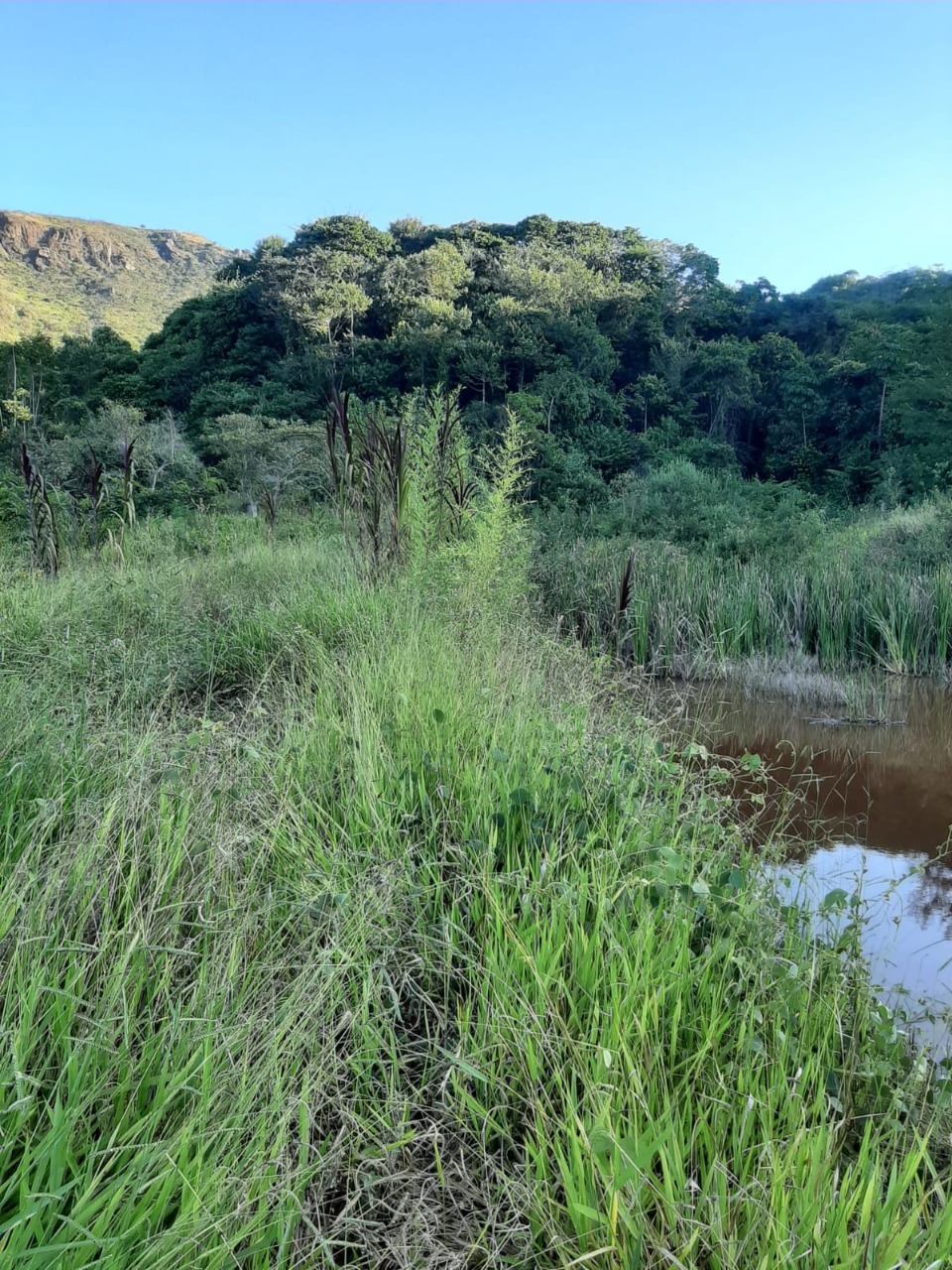 Terreno / Área à venda no Fazenda da Ressaca: 