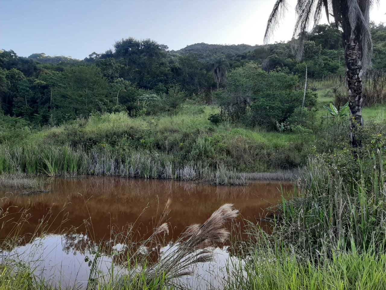 Terreno / Área à venda no Fazenda da Ressaca: 