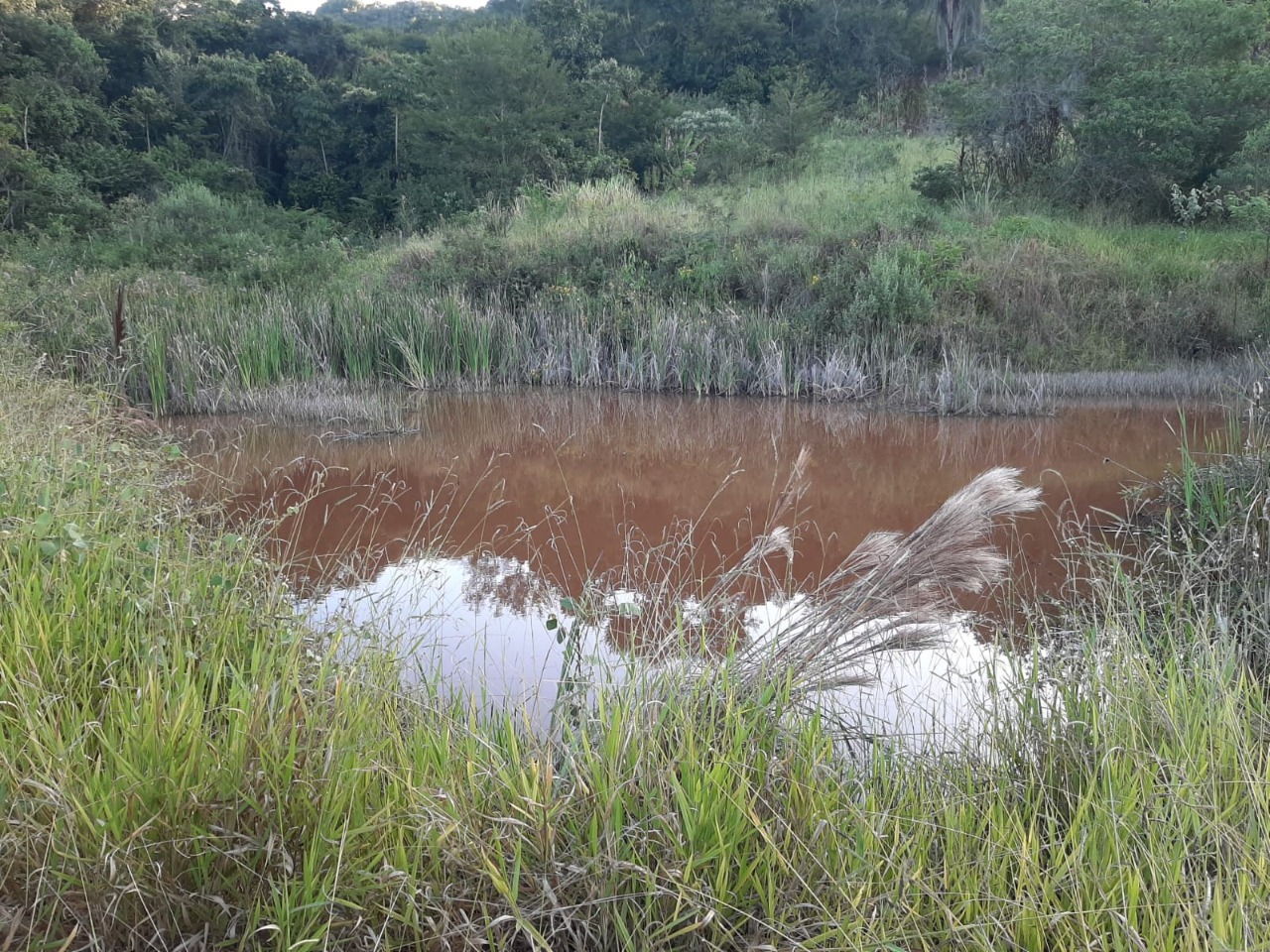 Terreno / Área à venda no Fazenda da Ressaca: 