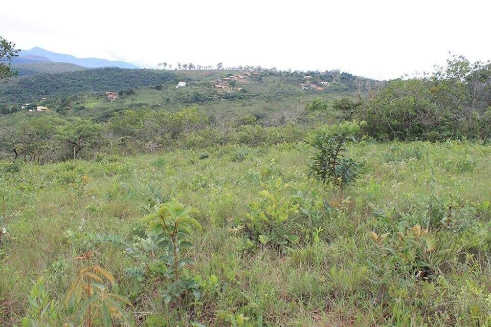 Lote à venda no Acuruí: 