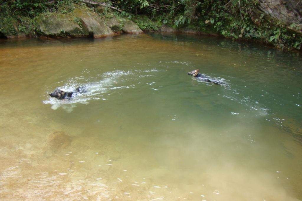 Casa comercial à venda no Chapada: 