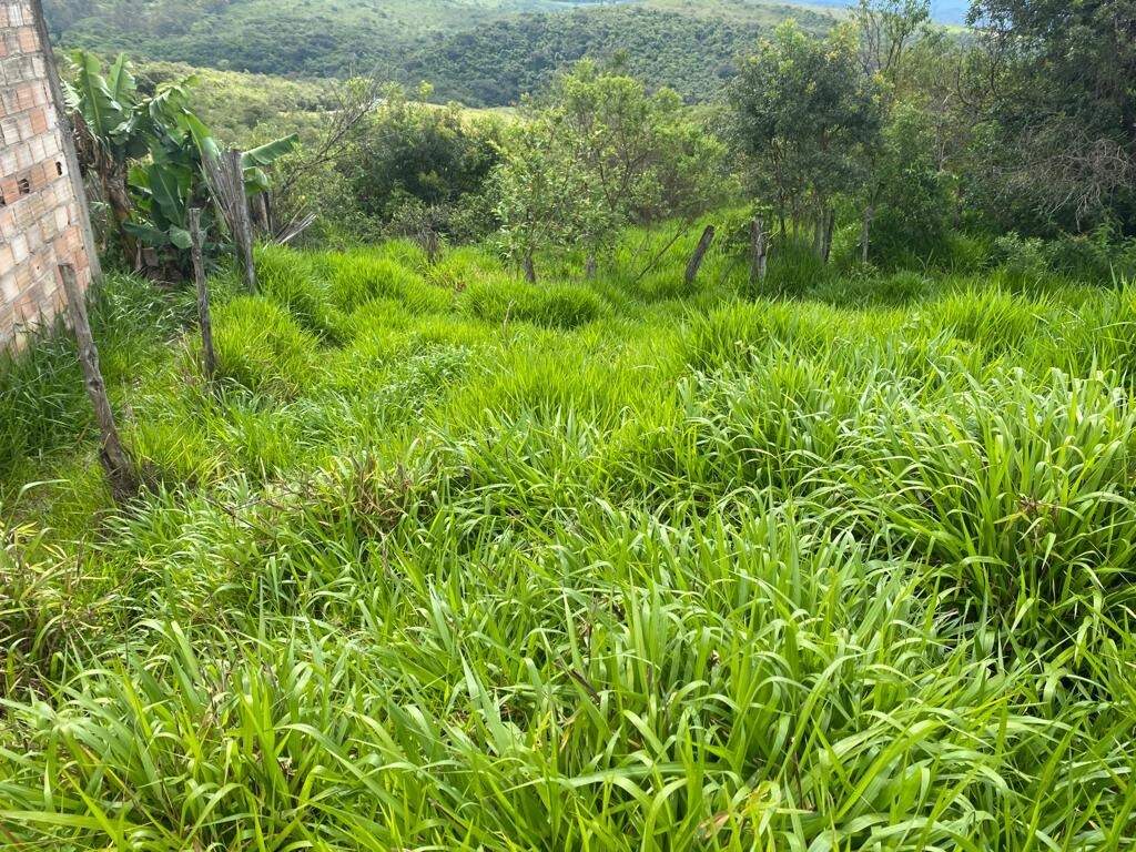 Lote à venda no Vila Do Cruzeiro: 