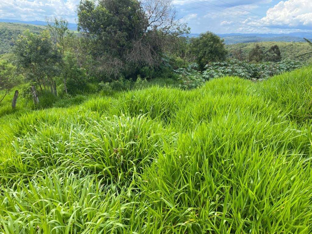 Lote à venda no Vila Do Cruzeiro: 