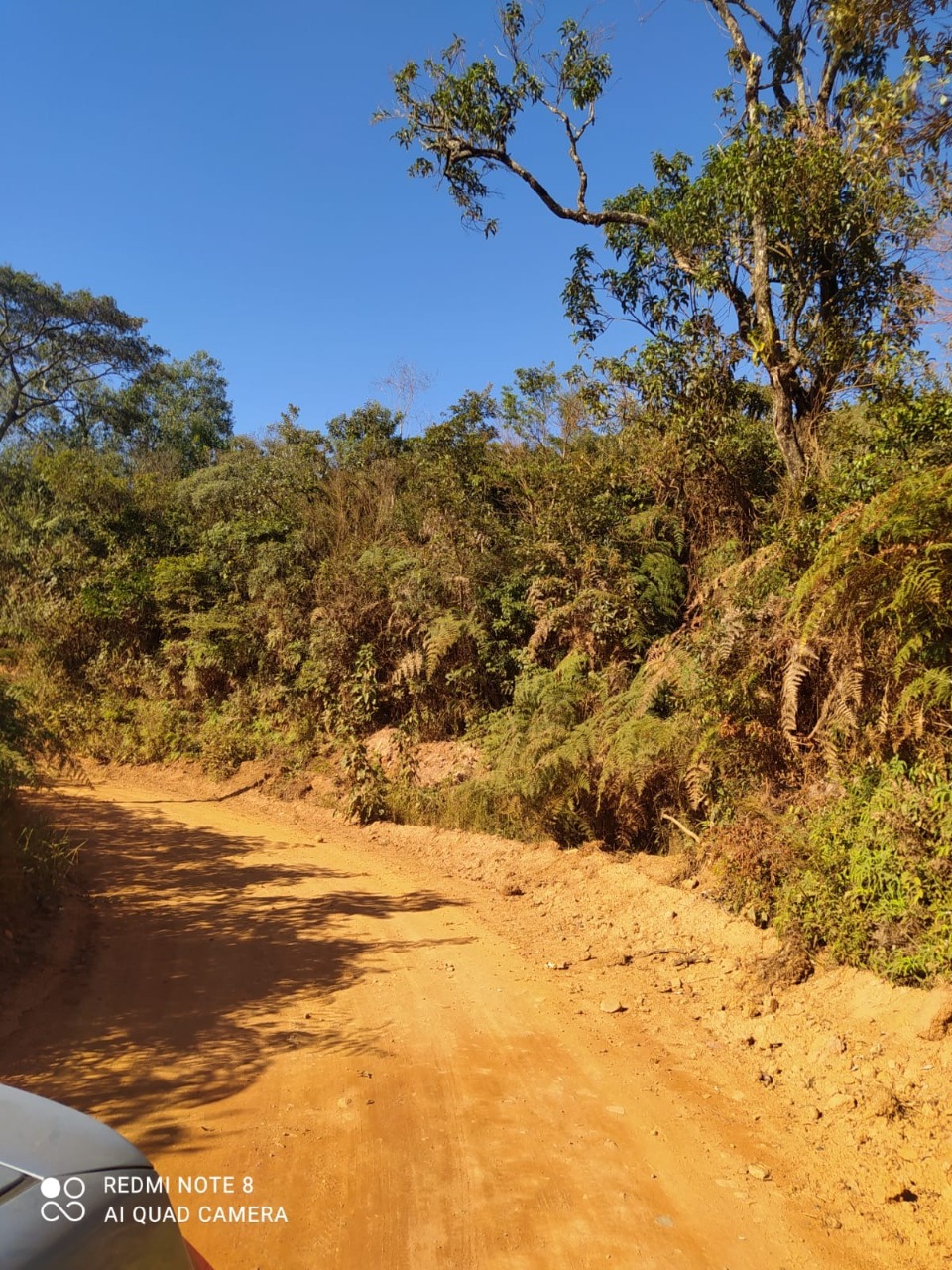 Terreno / Área à venda no São Bartolomeu: 