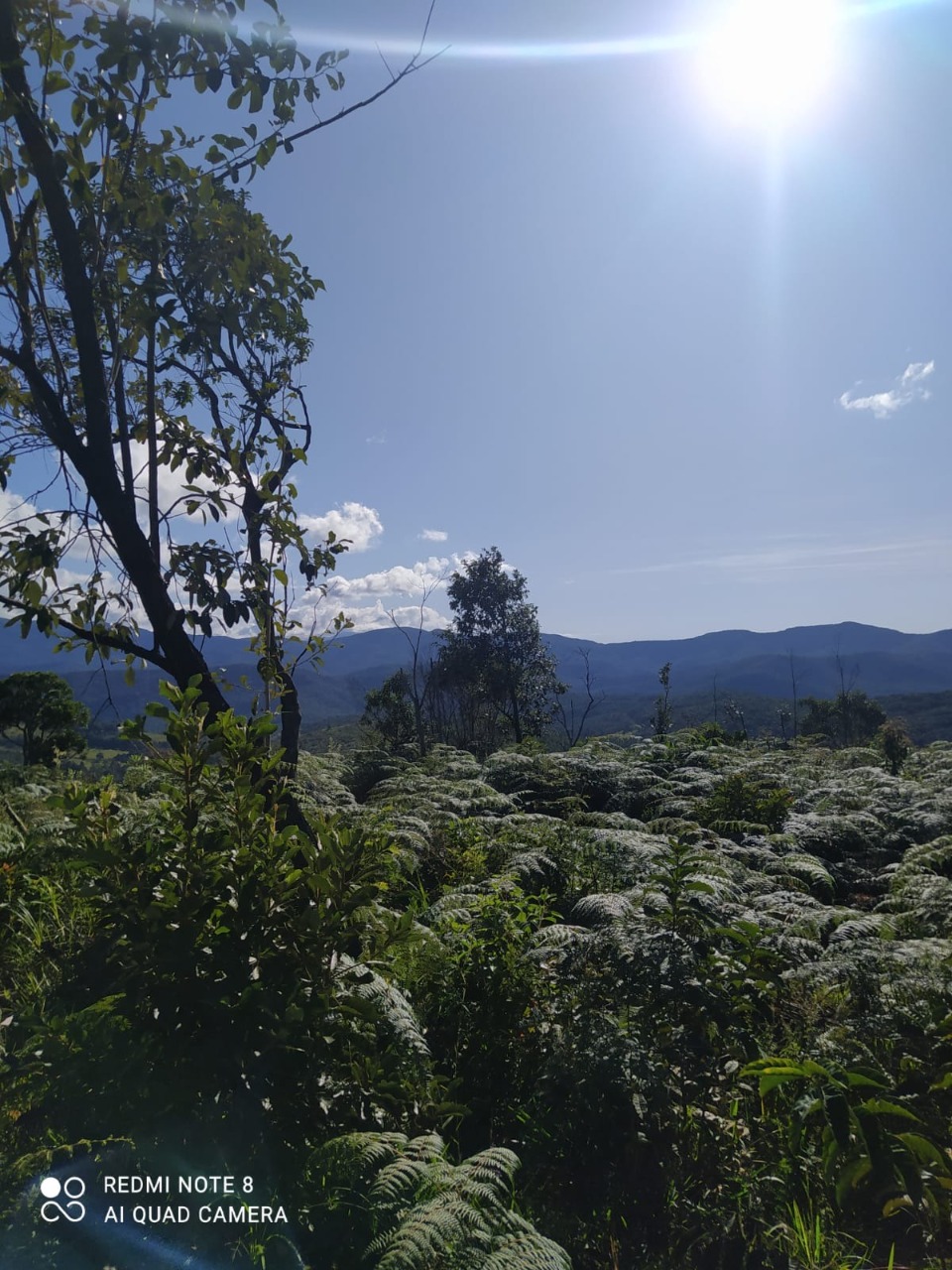 Terreno / Área à venda no São Bartolomeu: 