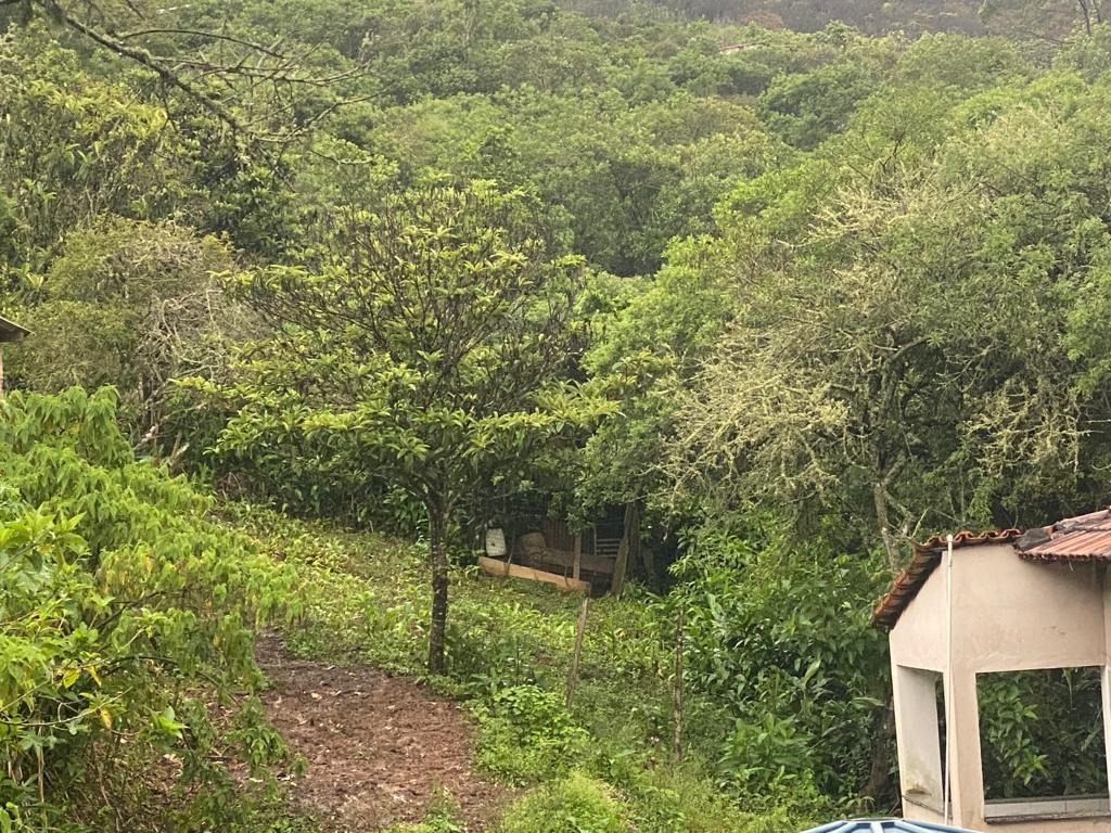 Lote à venda no Morro São Sebastião: 