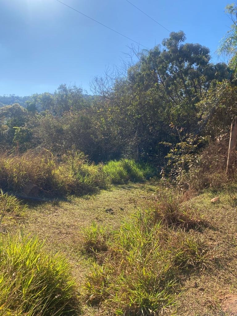 Terreno / Área à venda no Centro: 