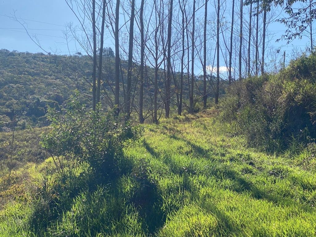 Terreno / Área à venda no Centro: 