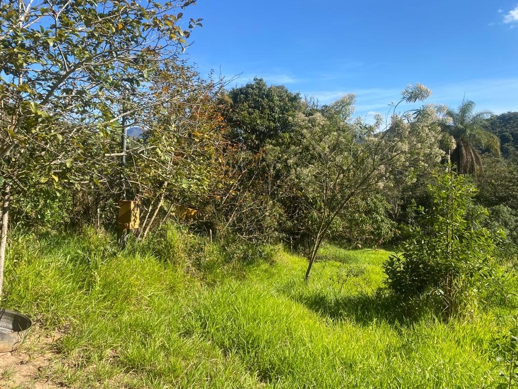 Terreno / Área à venda no Centro: 