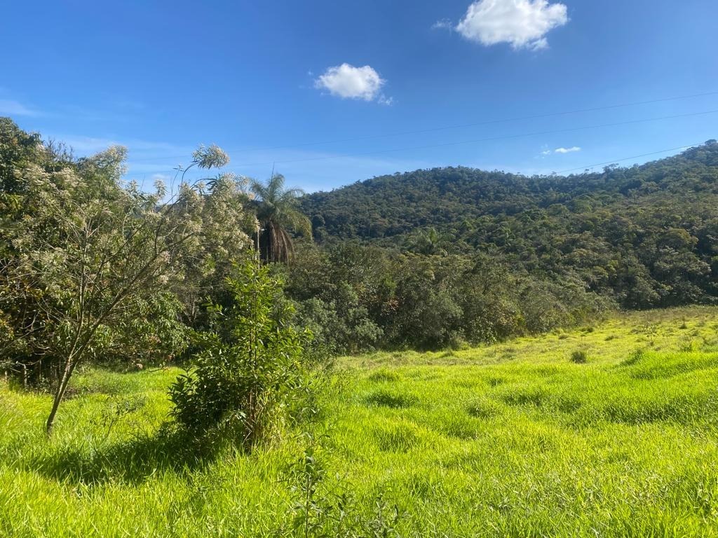 Terreno / Área à venda no Centro: 