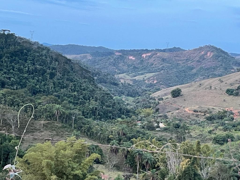 Terreno / Área à venda no Cachoeira do Brumado: 