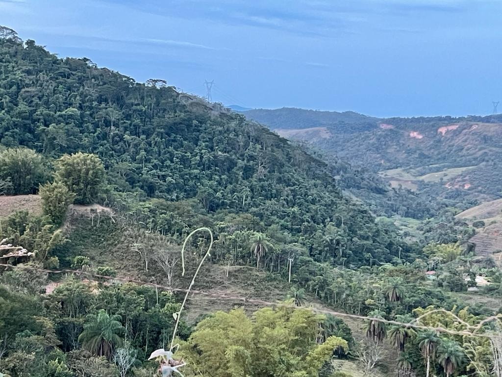 Terreno / Área à venda no Cachoeira do Brumado: 
