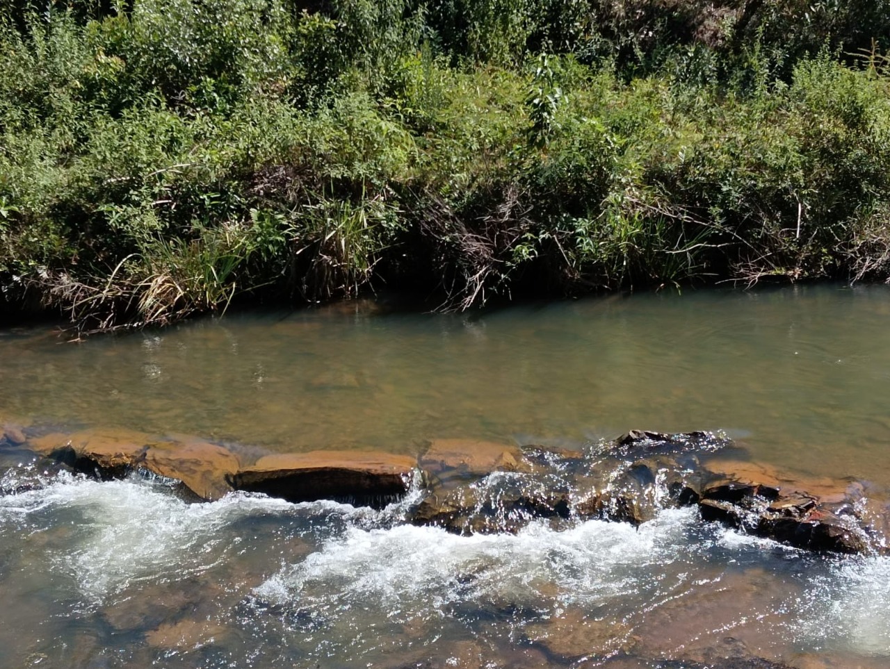 Terreno / Área à venda no Centro: 