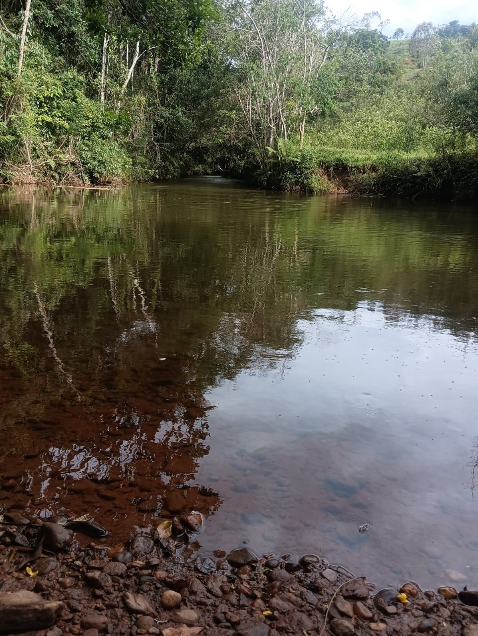 Terreno / Área à venda no Centro: 