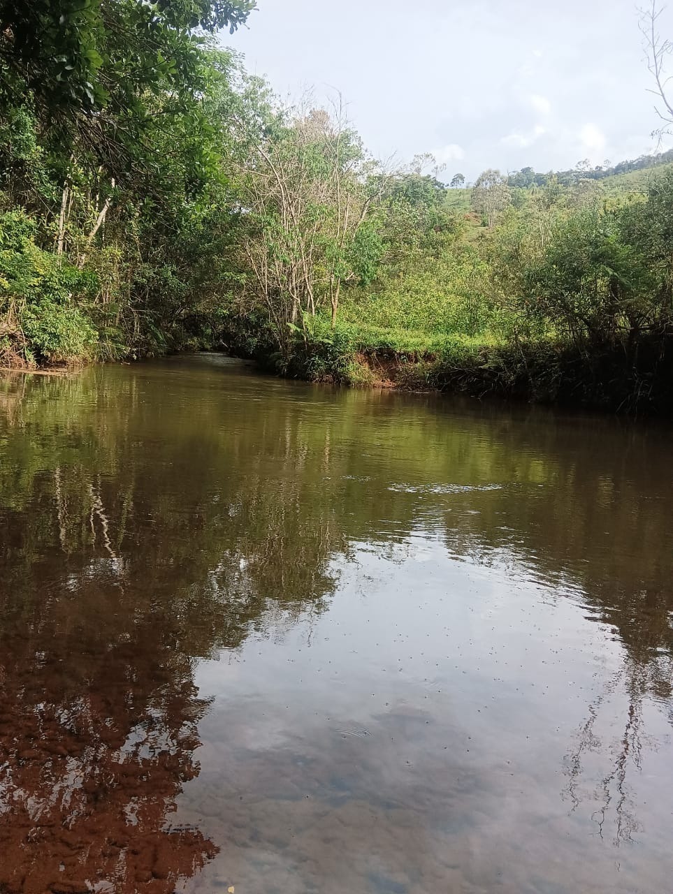 Terreno / Área à venda no Centro: 