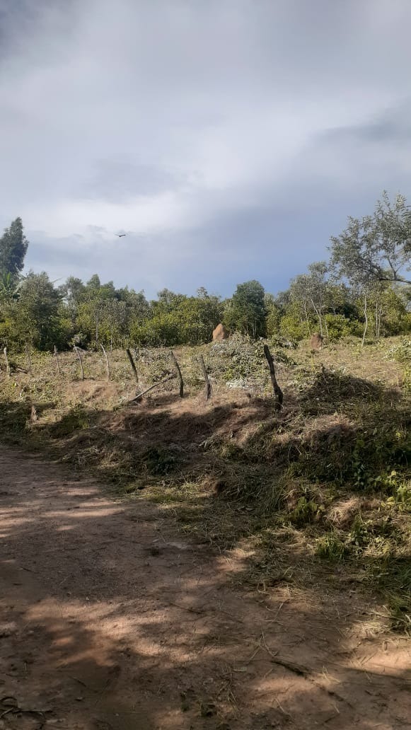 Lote à venda no São Bartolomeu: 