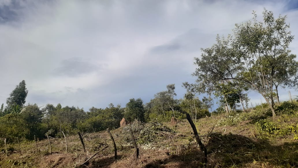 Lote à venda no São Bartolomeu: 
