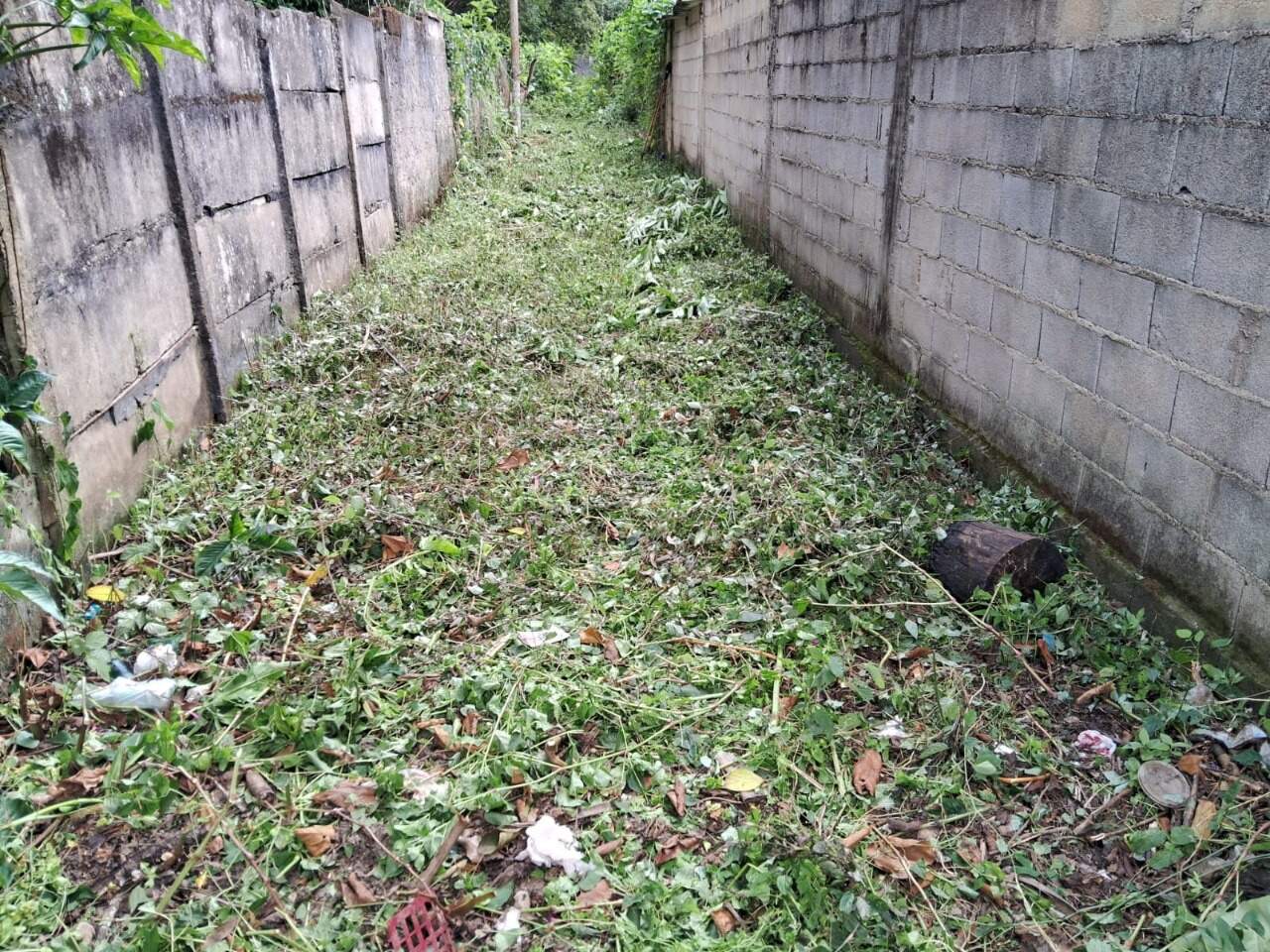 Lote à venda no Monsenhor Horta: 