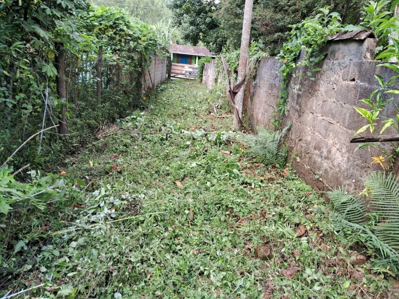 Lote à venda no Monsenhor Horta: 