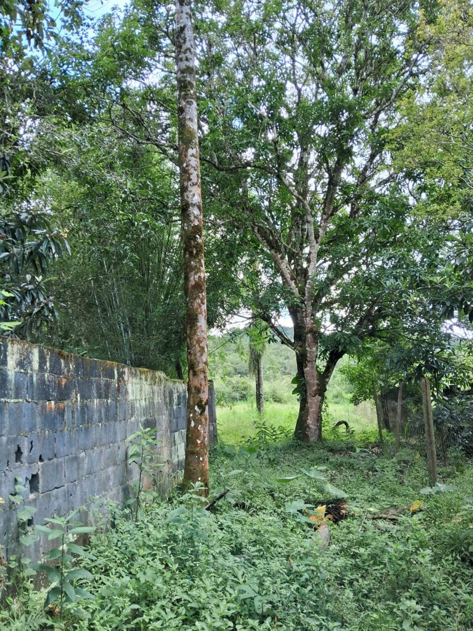 Lote à venda no Monsenhor Horta: 