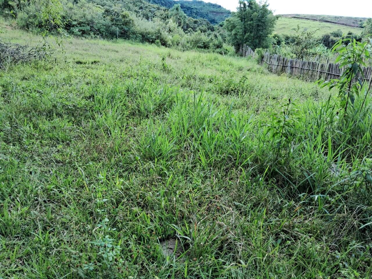 Lote à venda no Monsenhor Horta: 