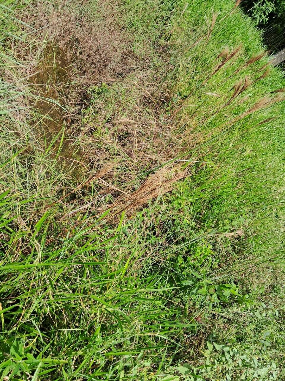 Lote à venda no Monsenhor Horta: 