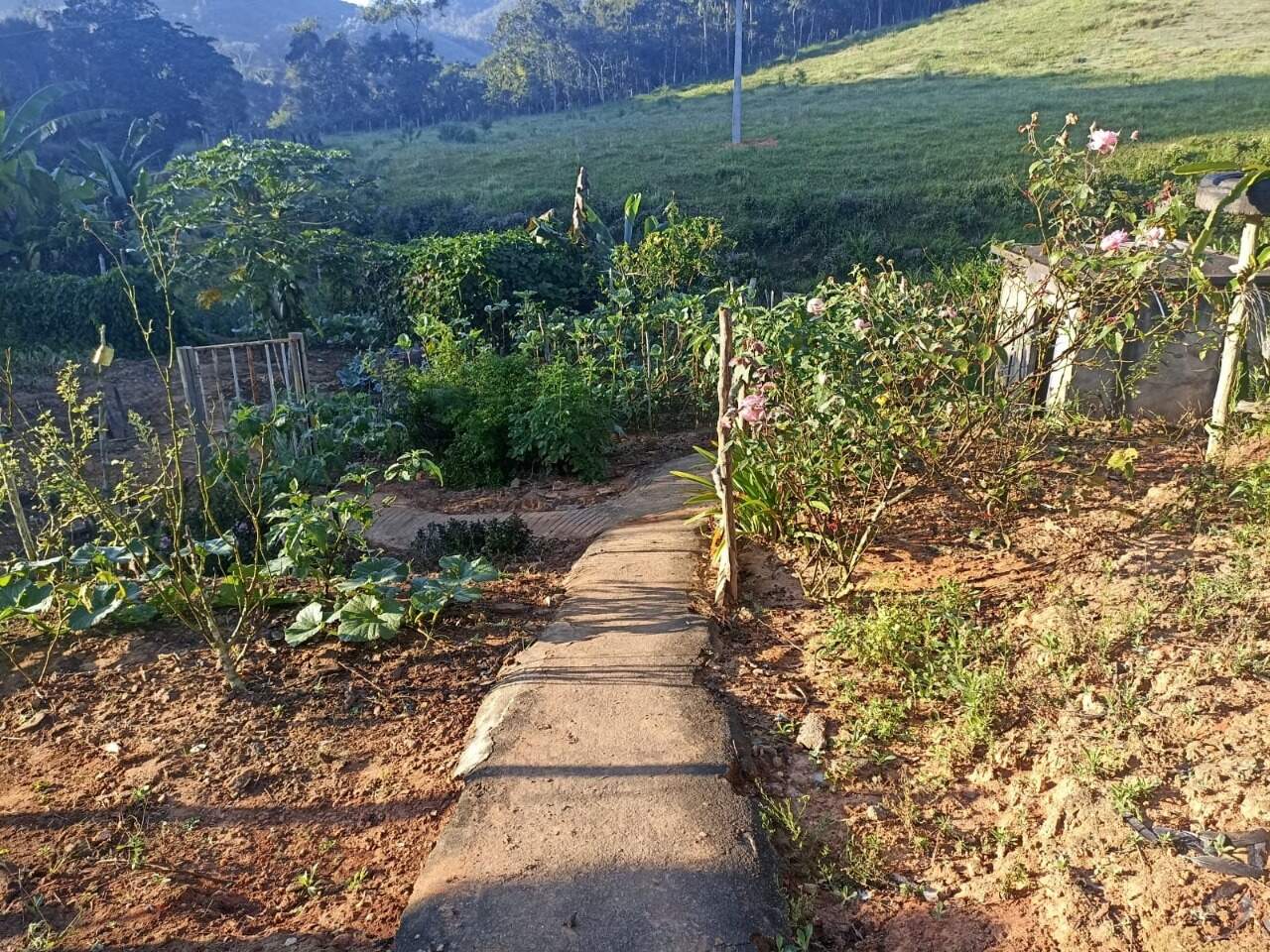 Sítio à venda no Pinheiros Alto: 