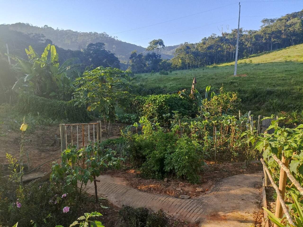 Sítio à venda no Pinheiros Alto: 