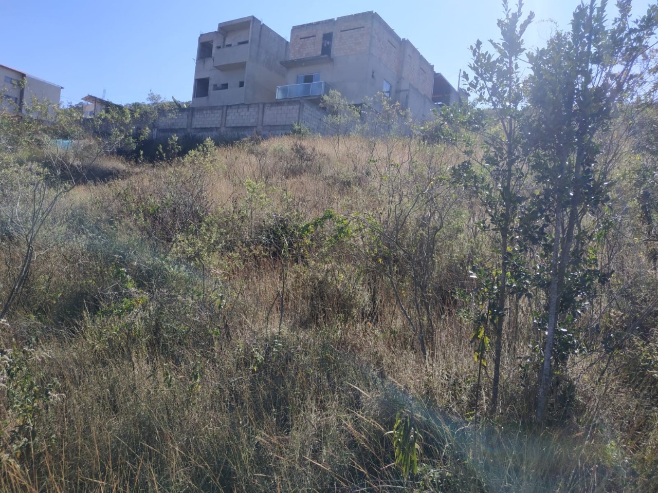 Terreno / Área à venda no Liberdade: 