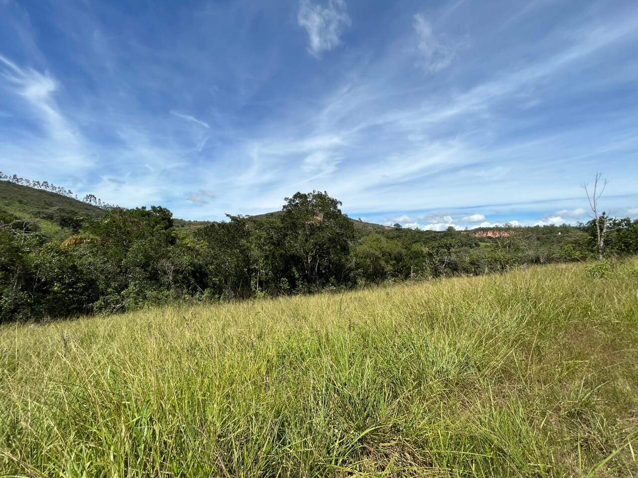 Terreno / Área à venda no Gouveia: 