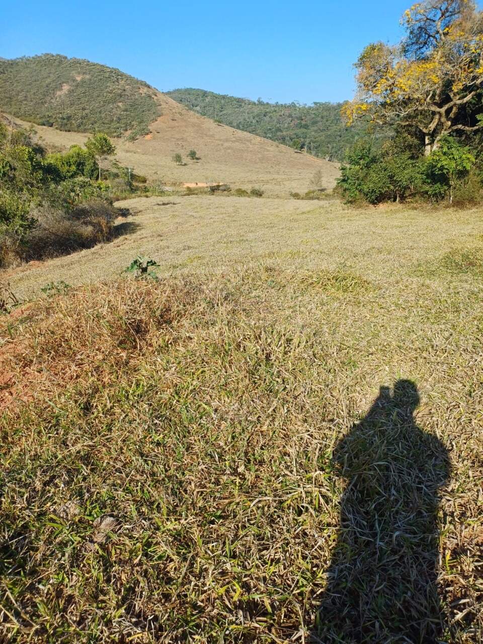 Terreno / Área à venda no Furquim: 