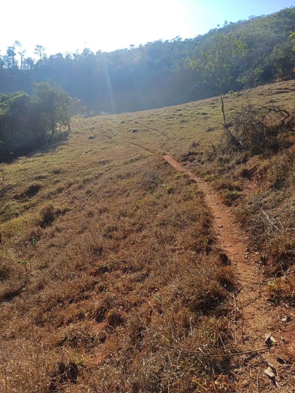 Terreno / Área à venda no Furquim: 