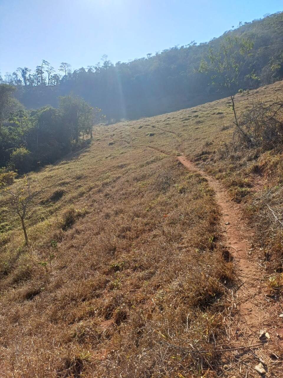 Terreno / Área à venda no Furquim: 