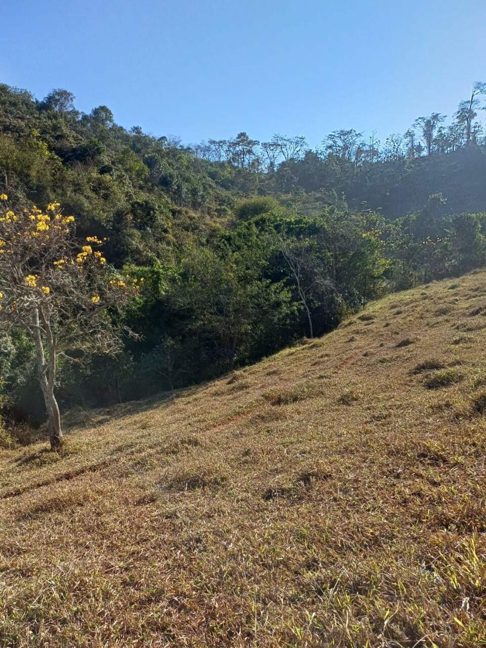Terreno / Área à venda no Furquim: 