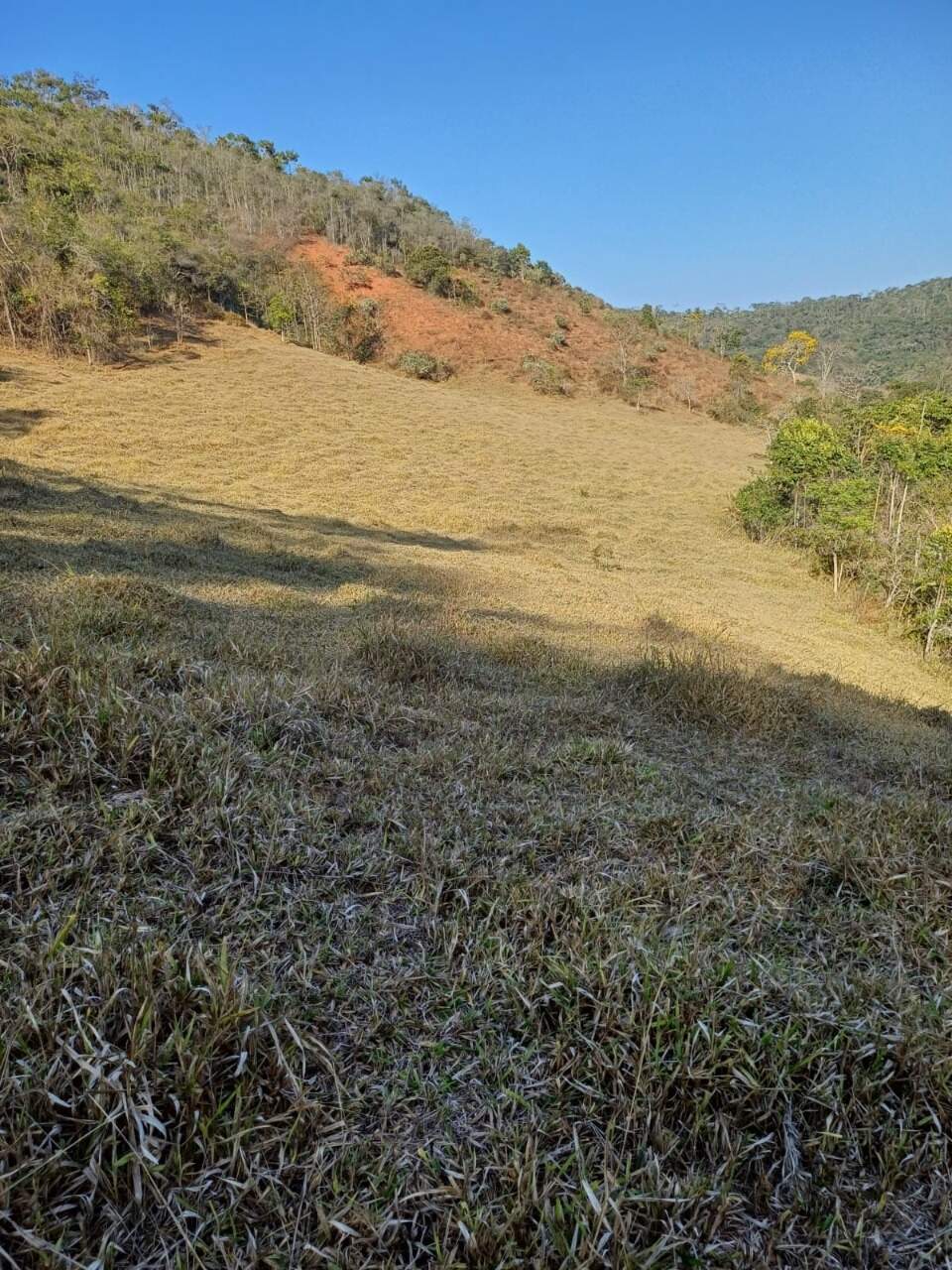 Terreno / Área à venda no Furquim: 