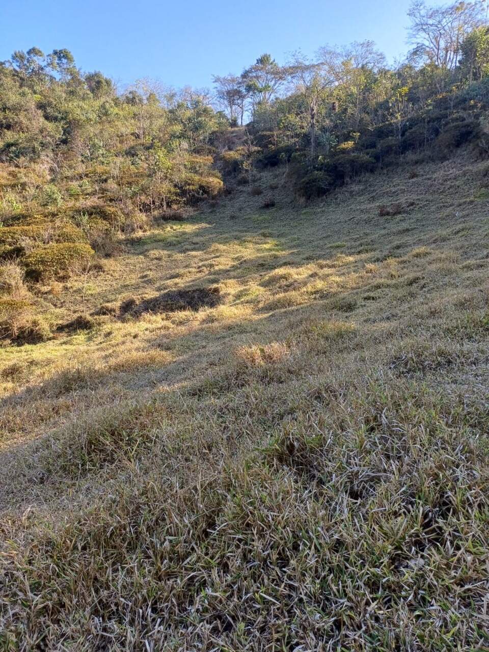 Terreno / Área à venda no Furquim: 