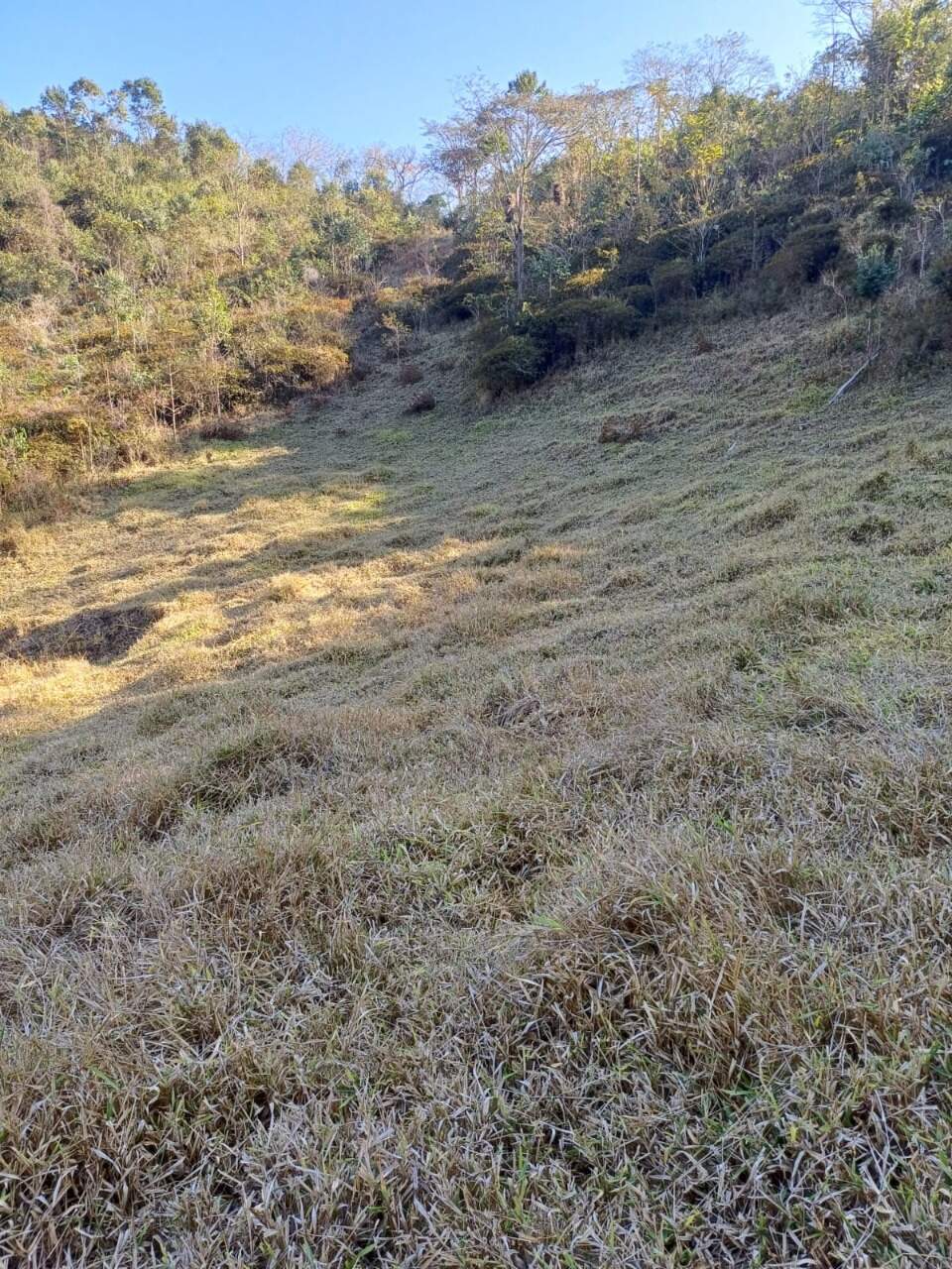 Terreno / Área à venda no Furquim: 