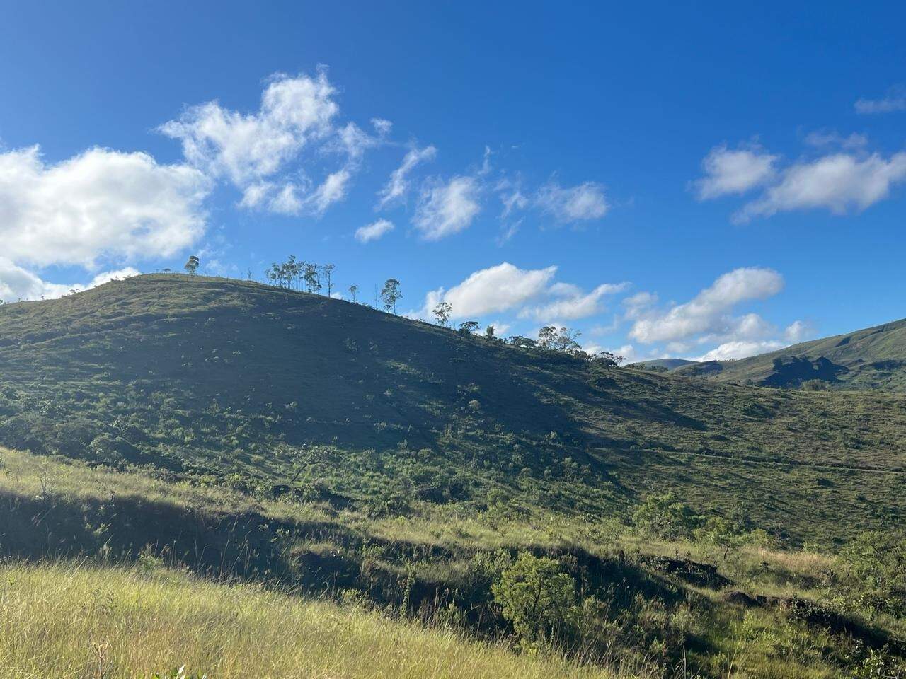 Terreno / Área à venda no Rodrigo Silva: 