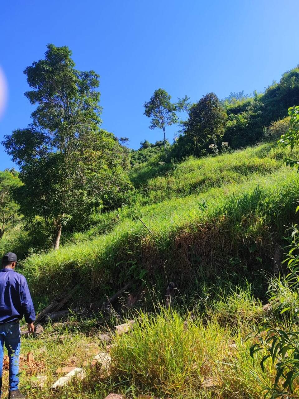 Terreno / Área à venda no Mainart: 