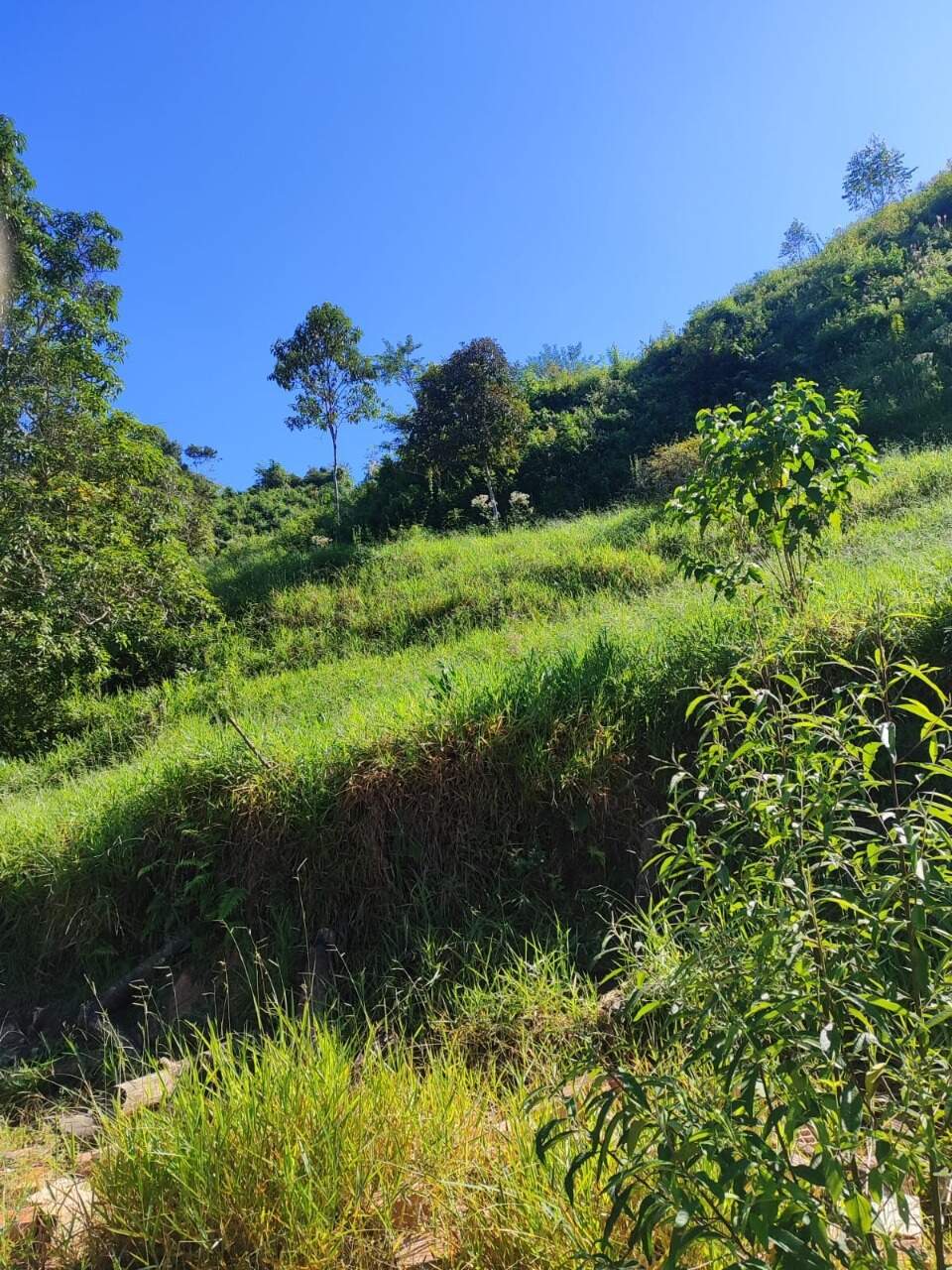 Terreno / Área à venda no Mainart: 