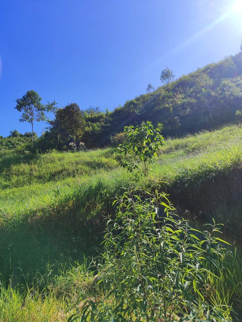 Terreno / Área à venda no Mainart: 