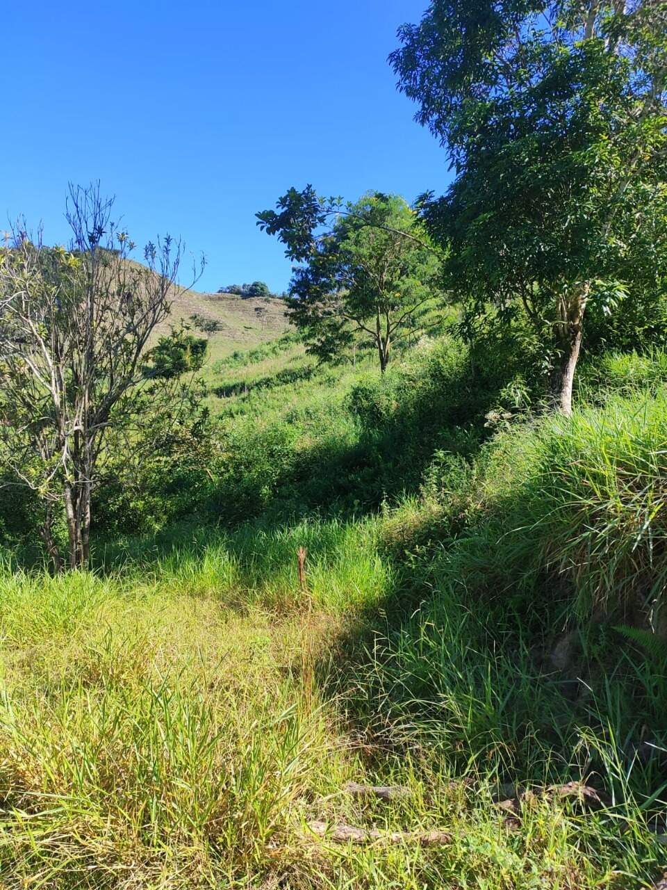 Terreno / Área à venda no Mainart: 