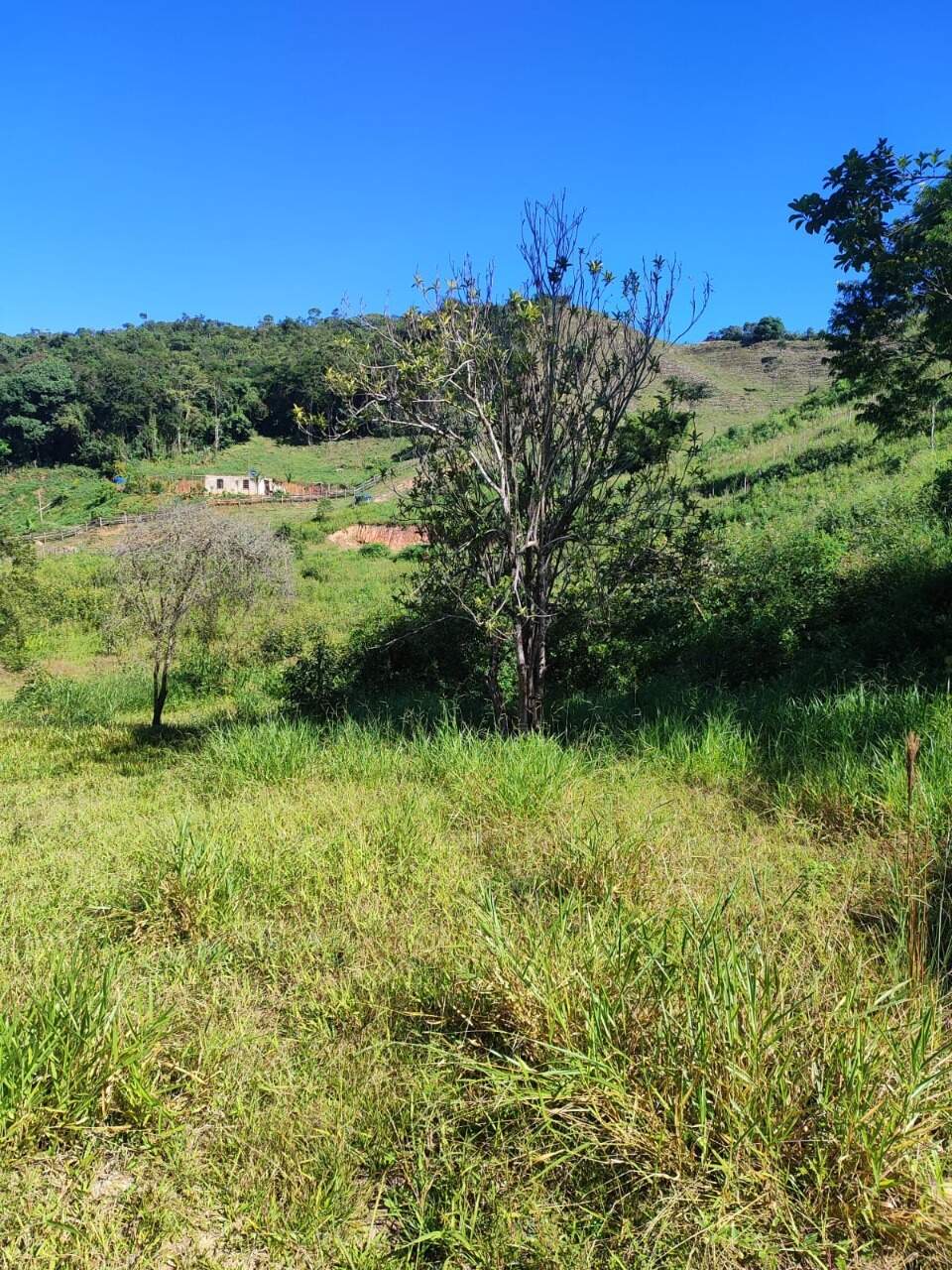 Terreno / Área à venda no Mainart: 