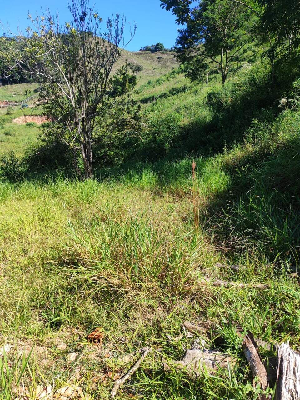 Terreno / Área à venda no Mainart: 