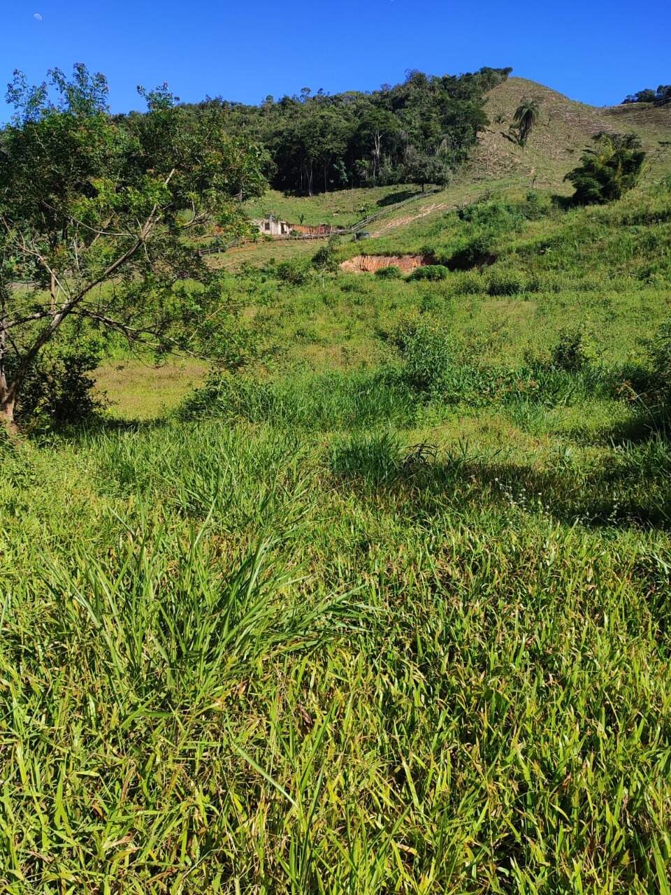 Terreno / Área à venda no Mainart: 