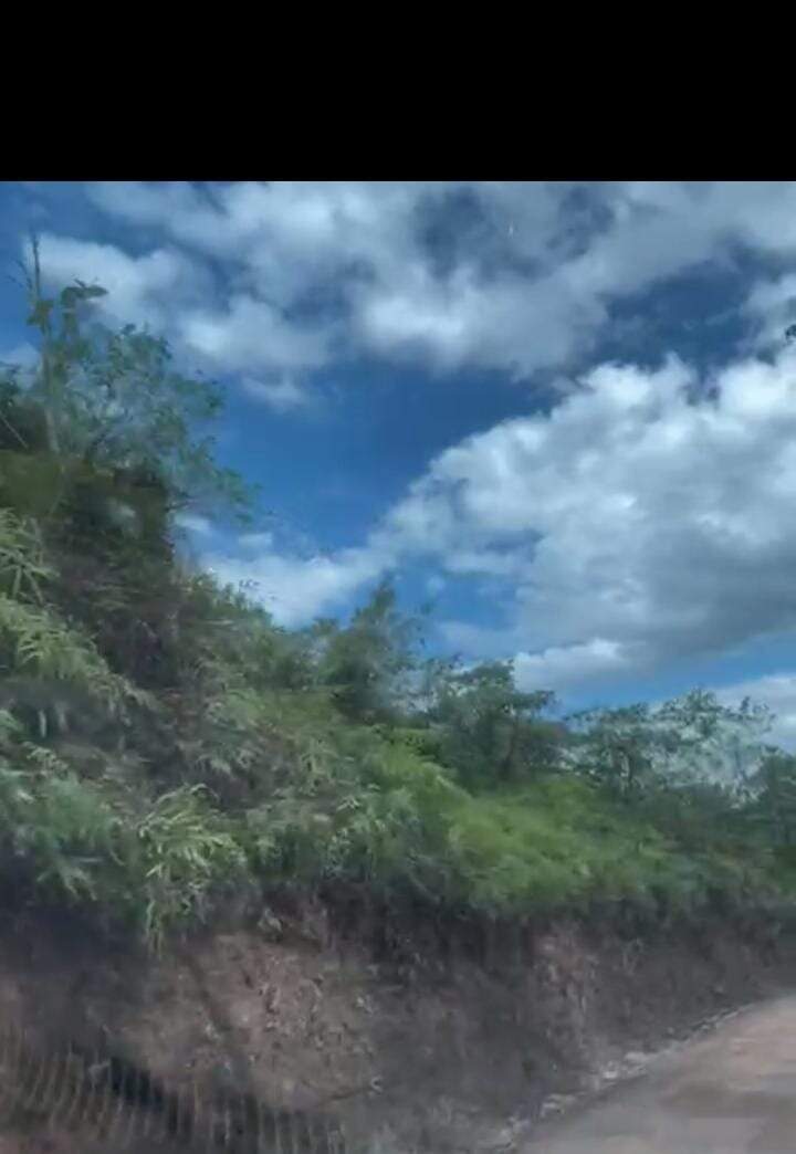 Terreno / Área à venda no Bandeirantes: 
