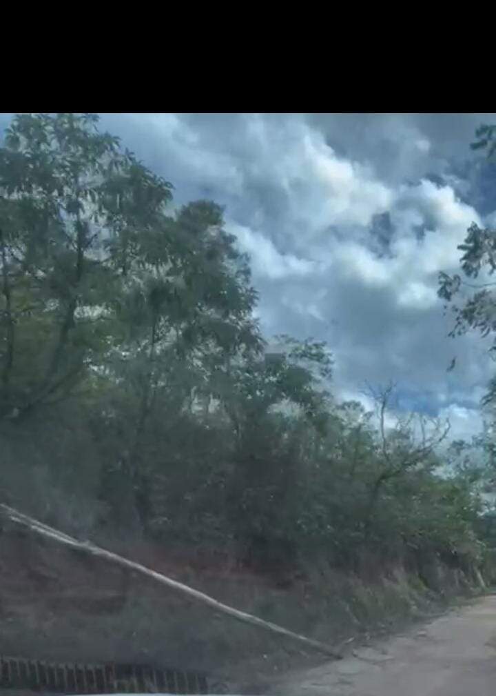 Terreno / Área à venda no Bandeirantes: 