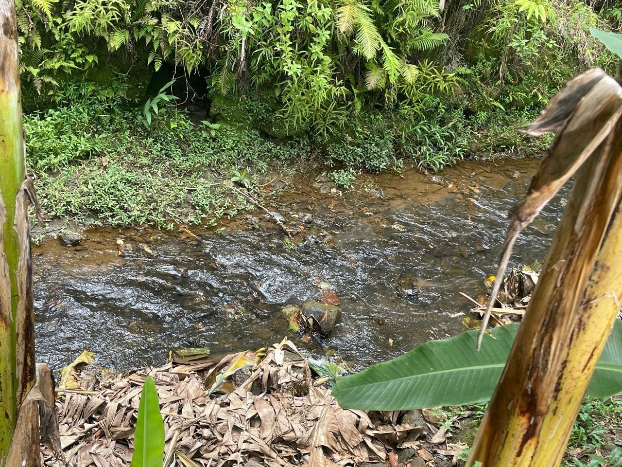 Chácara à venda no Corrego Canela: 