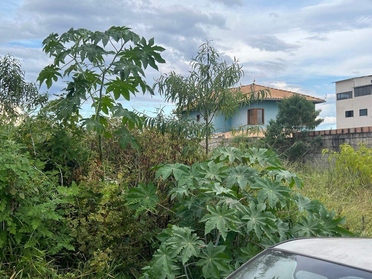 Lote à venda no Vila Alegre: 