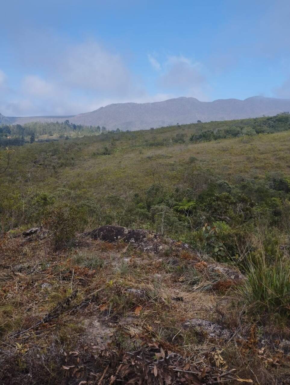 Lote à venda no Chapada: 